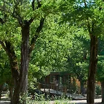Campsite Rives D'arc Vallon-Pont-d'Arc