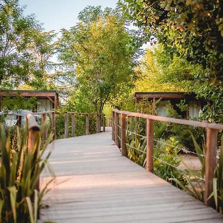 Rives D'arc Camping Vallon-Pont-dʼArc