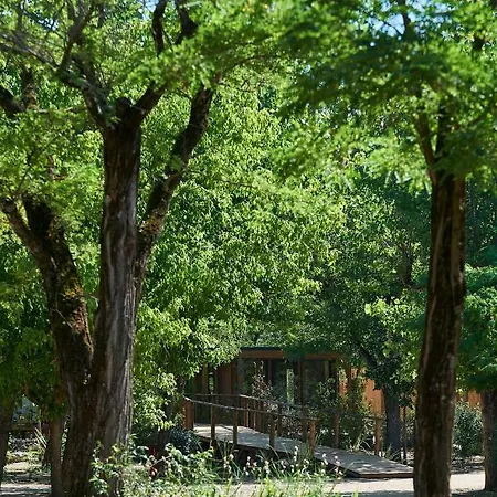 Camping Rives D'arc Vallon-Pont-dʼArc